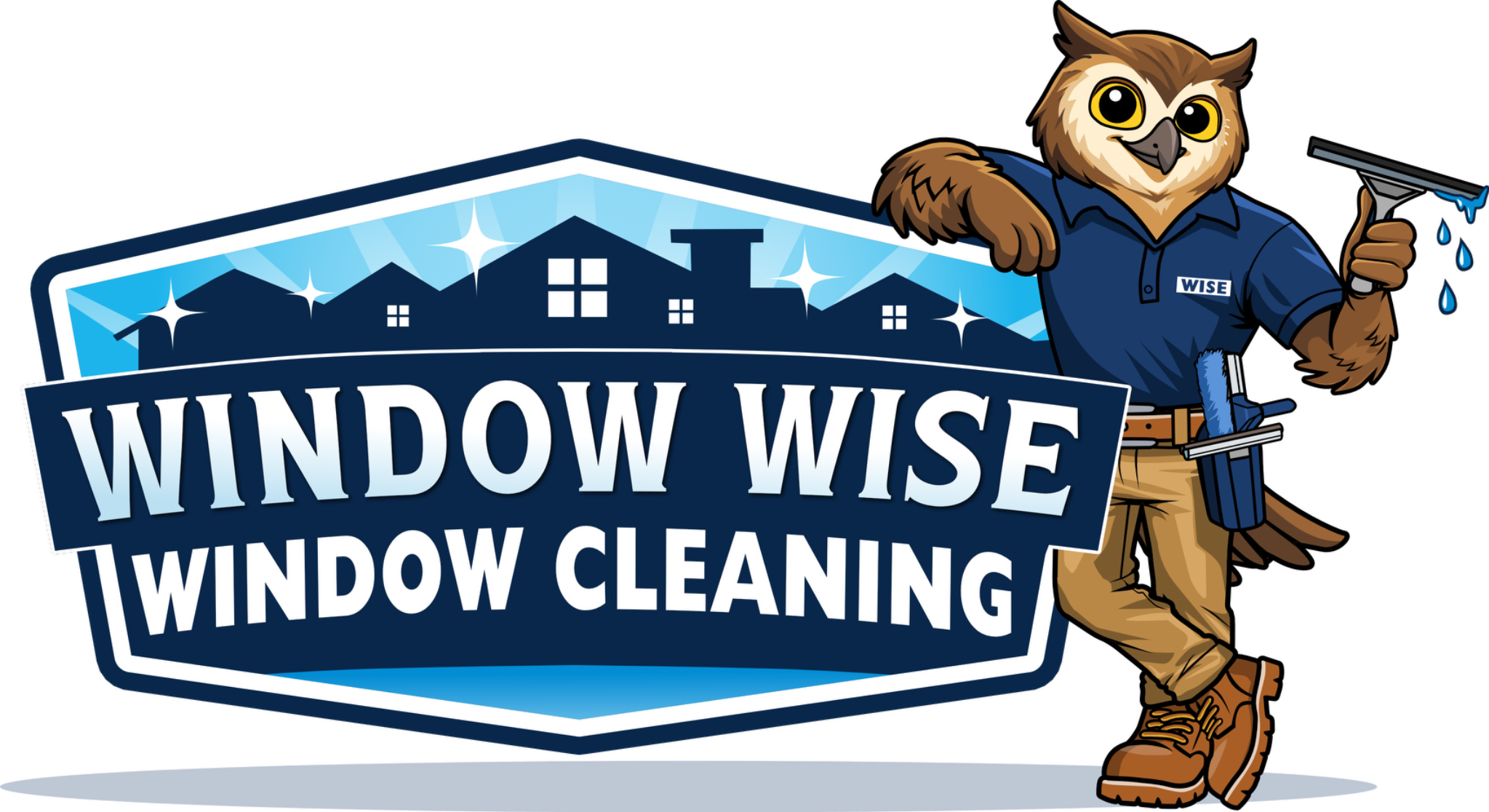 Window Wise Window Cleaning